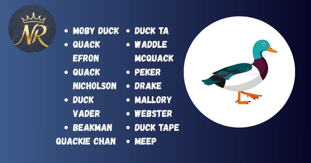 Funny Duck Names
