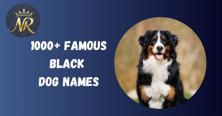 Black Dog names