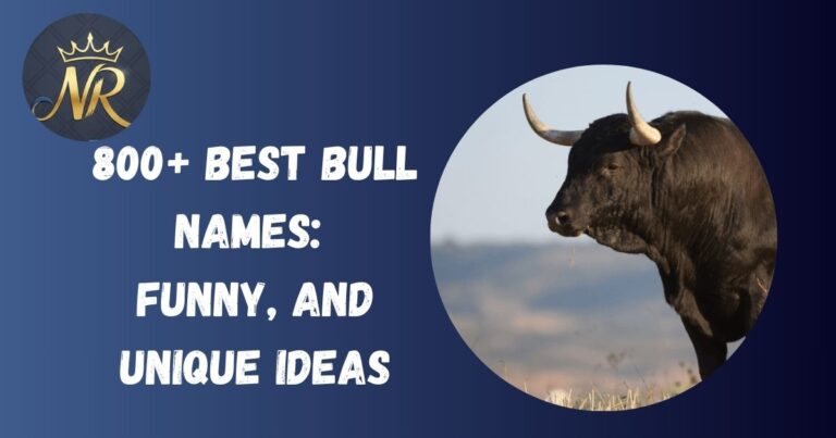 Bull Names