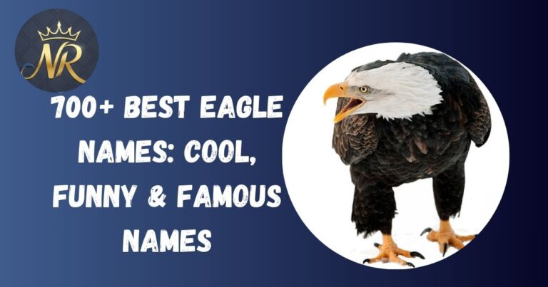Eagle Names