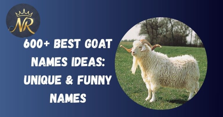 Goat Names
