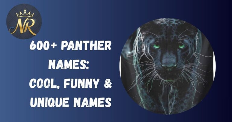 Panther Names