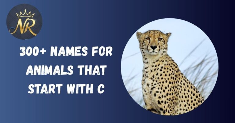 Animals that start with C