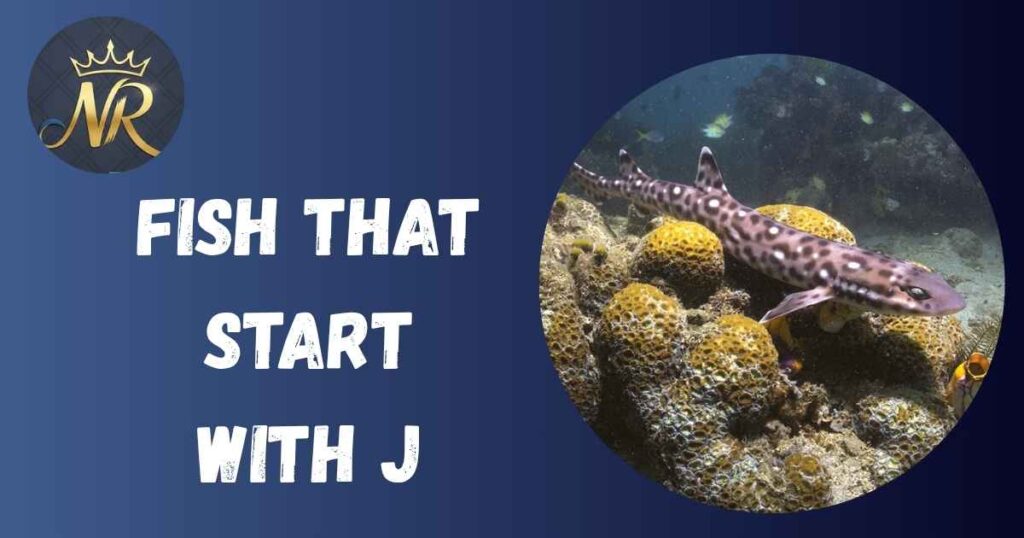 Fish that start with J