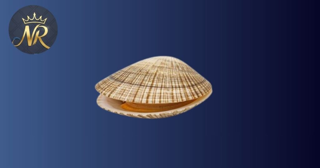 Quahog