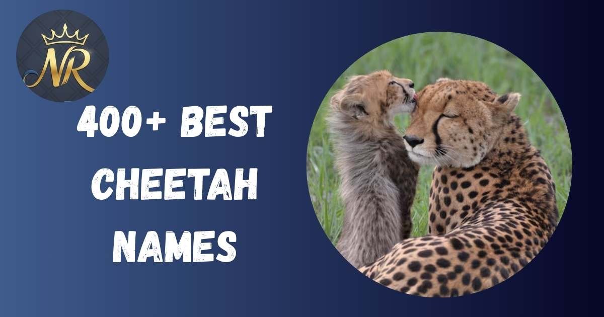 Cheetah Names