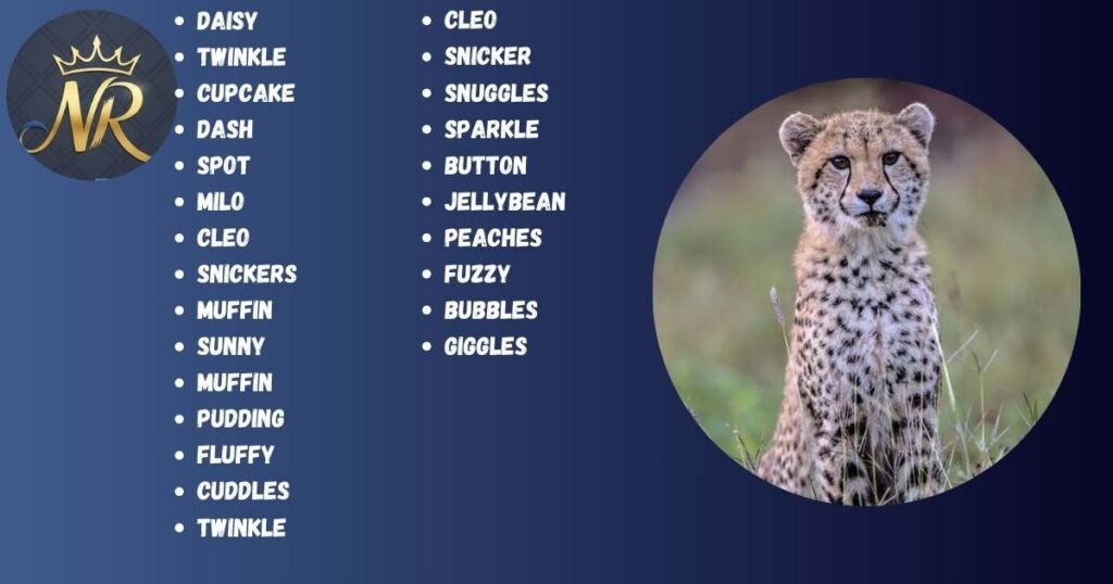 Cute Cheetah Names