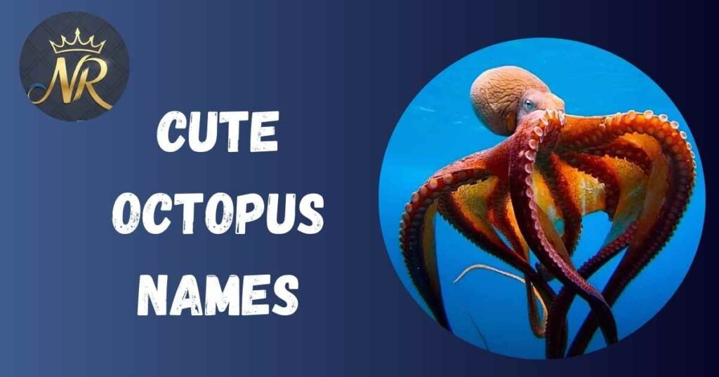 Cute Octopus Names