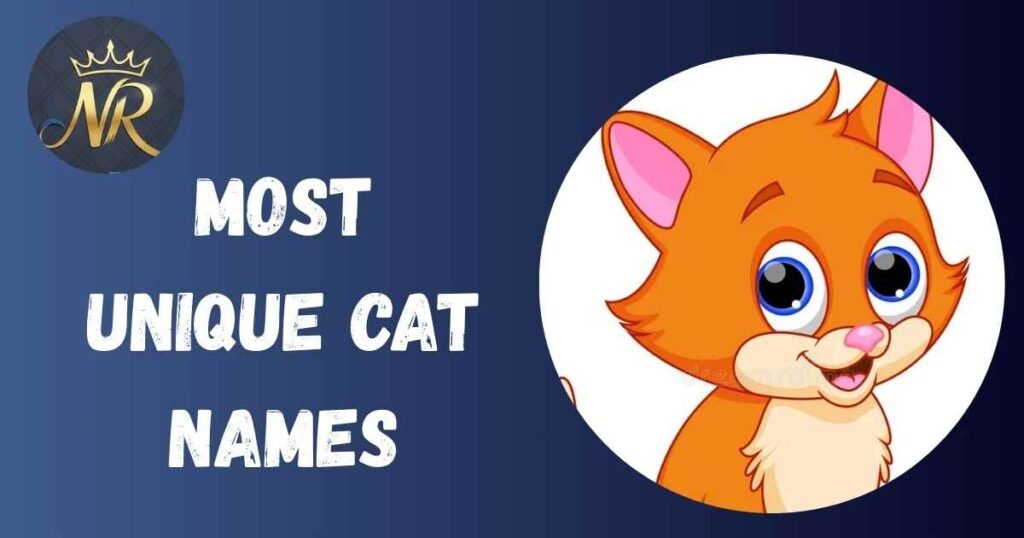Most Unique Cat Names