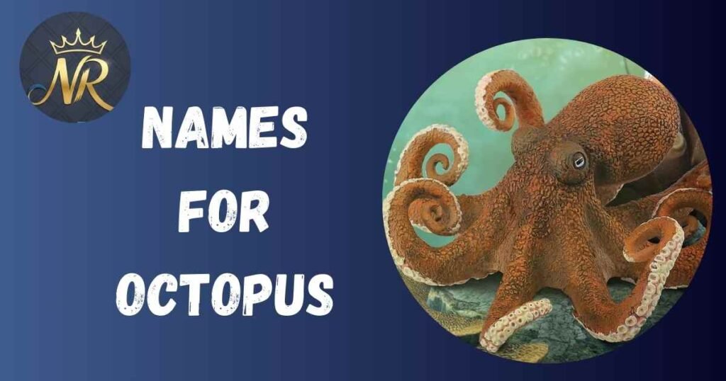 Names For Octopus