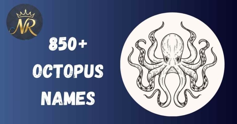 Octopus Names