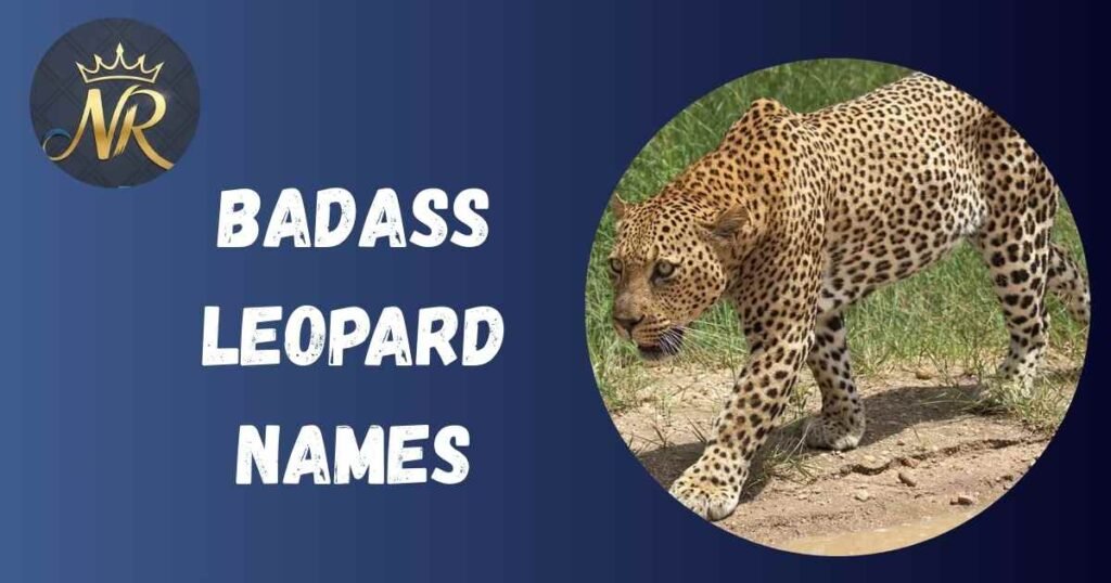 Badass Leopard Names