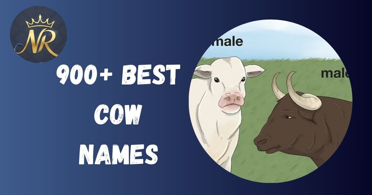 Best Cow Names