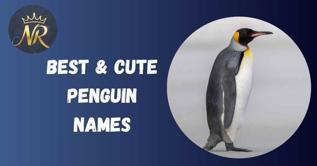 Best & Cute Penguin Names