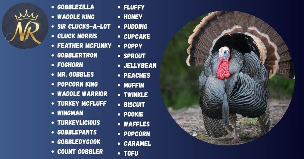 Best Funny Turkey Names
