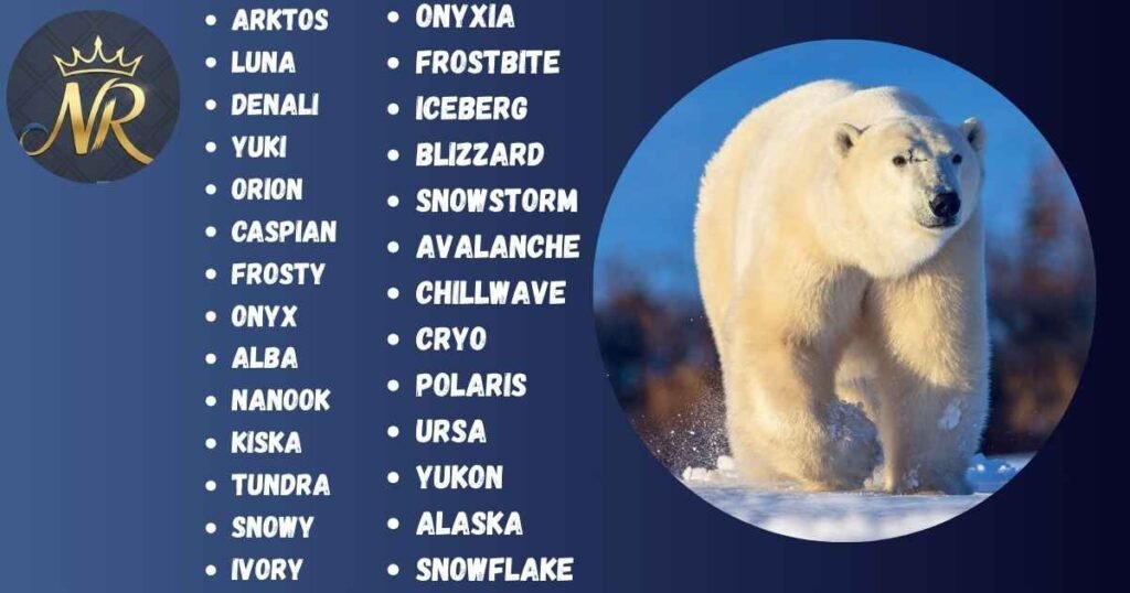 Best Polar Bear Names