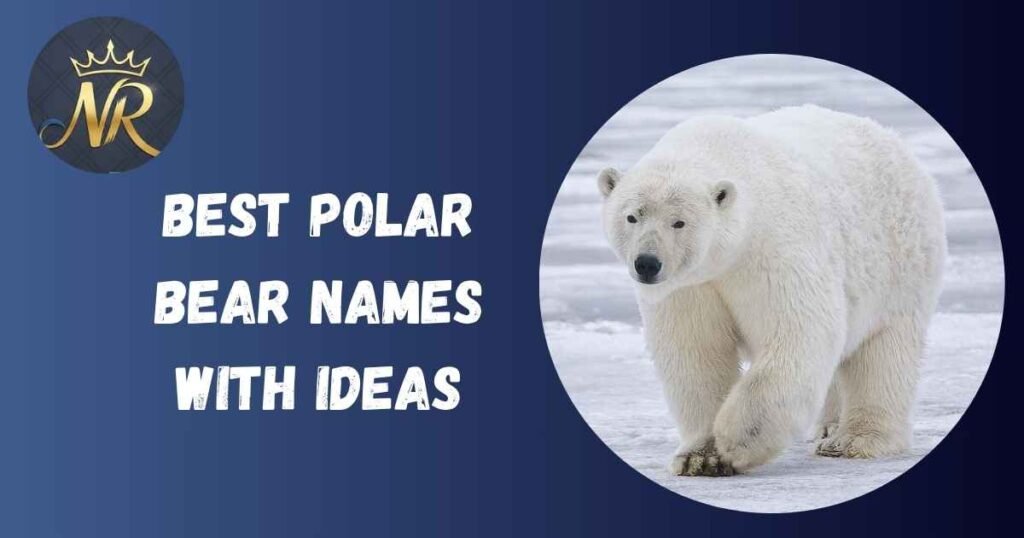 Best Polar Bear Names With Ideas