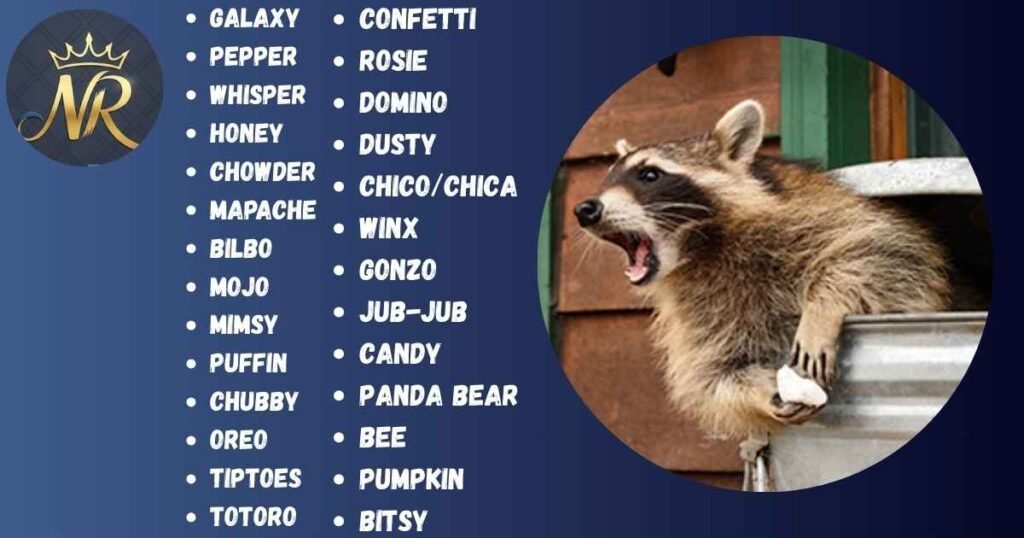 Best Raccoon Names