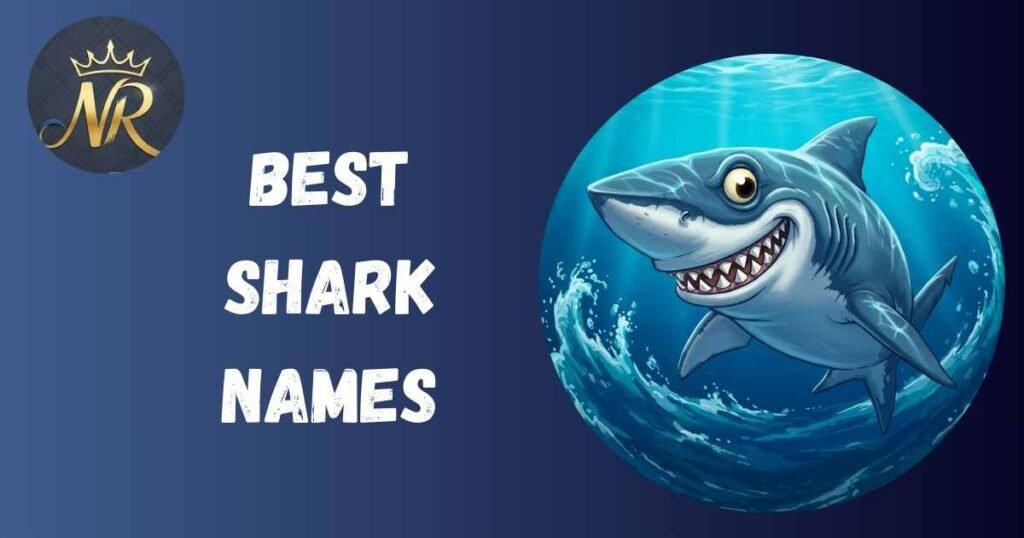 Best Shark Names