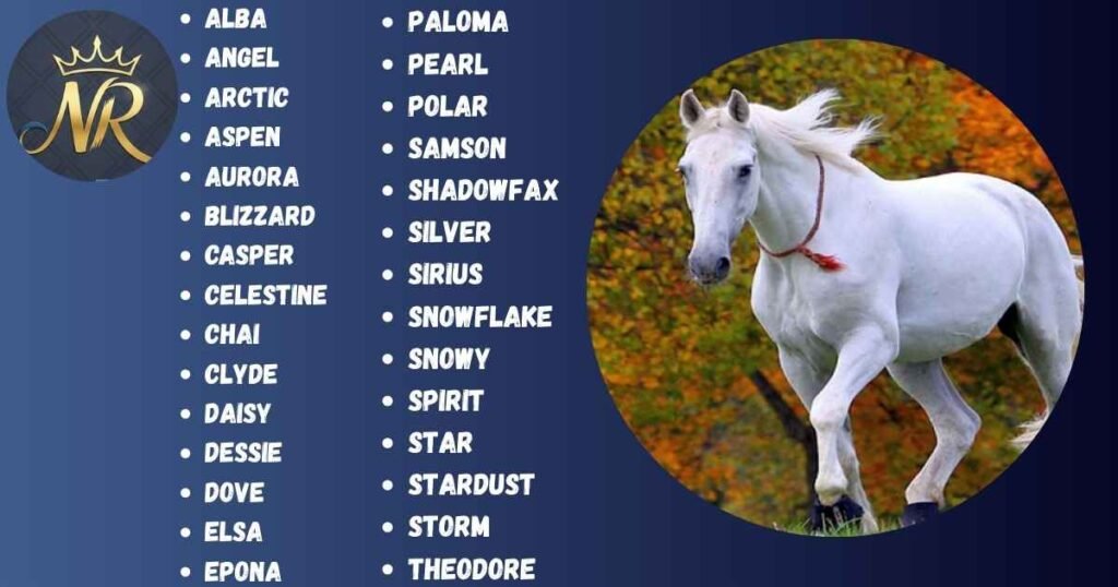 Best White Horse Names