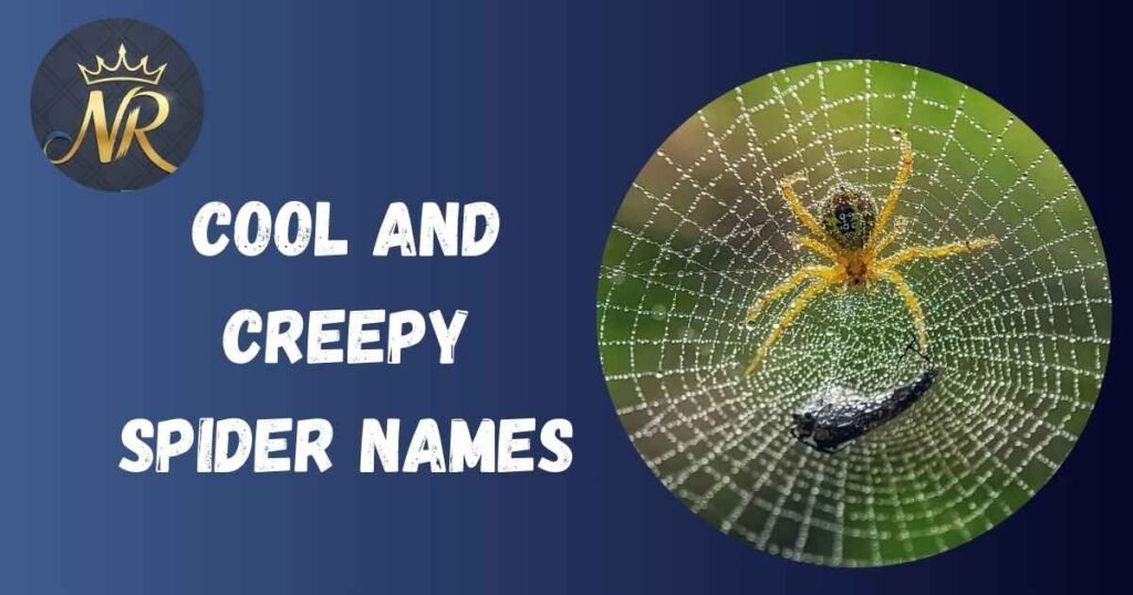 Cool And Creepy Spider Names