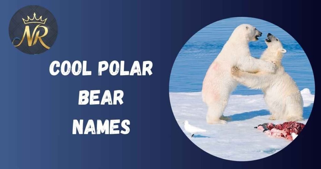 Cool Polar Bear Names