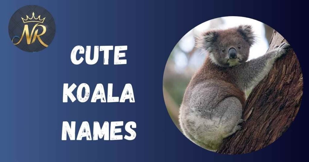 Cute Koala Names