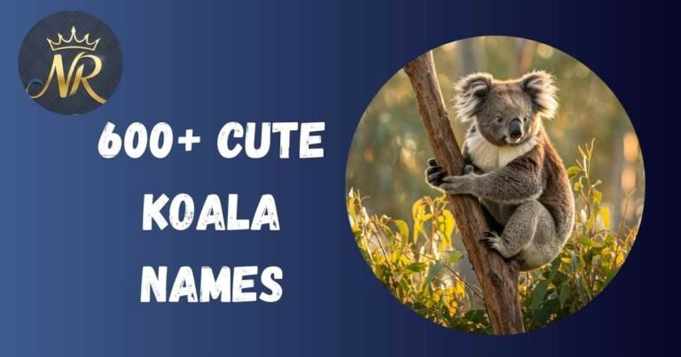 Koala Names