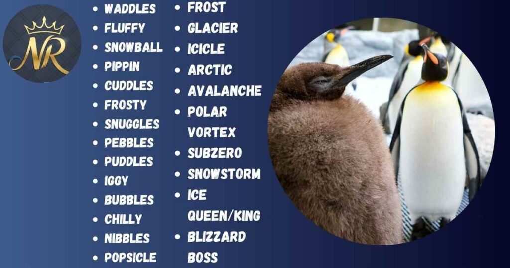 Cute Penguin Names 