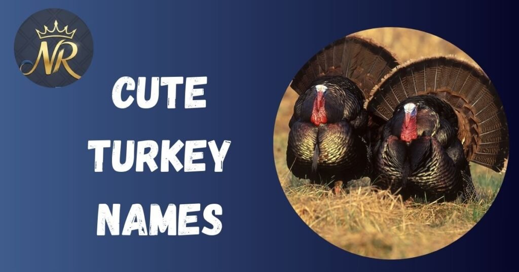 Cute Turkey Names