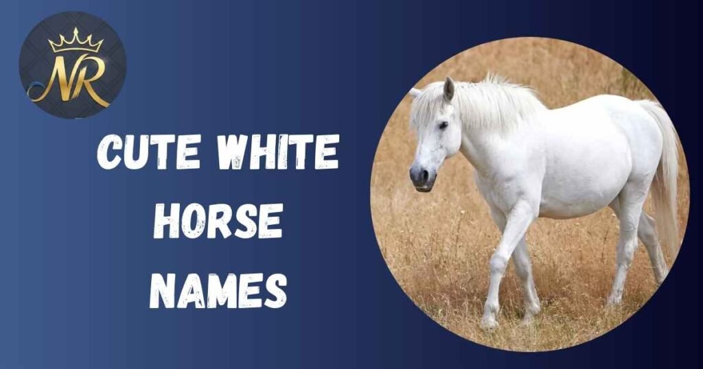 Cute White Horse Names