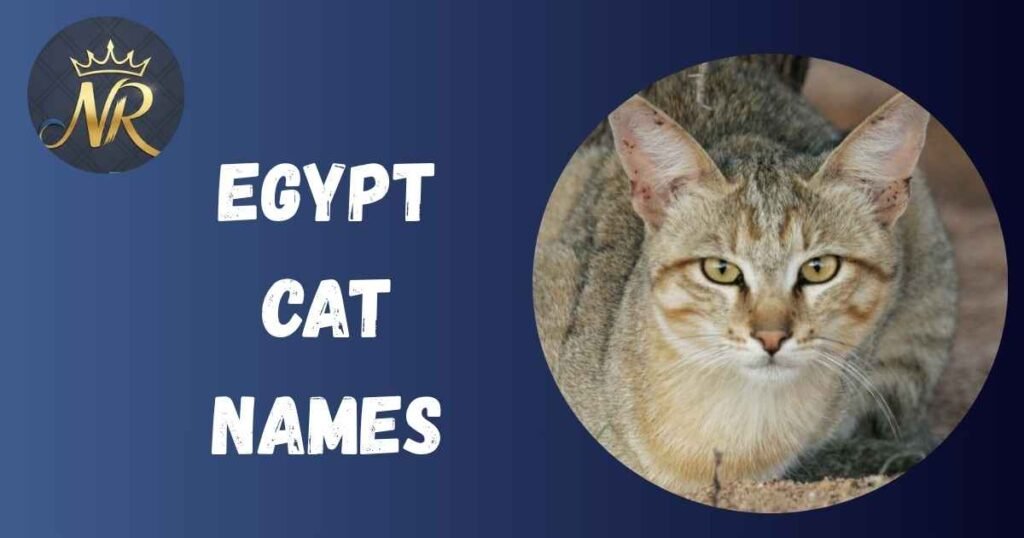 Egypt Cat Names