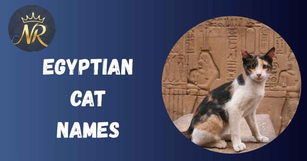 Egyptian Cat Names