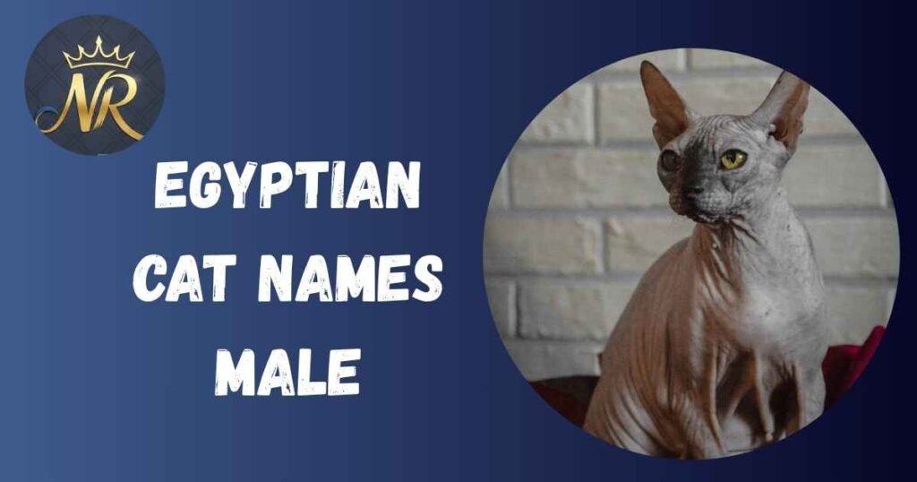 Egyptian Cat Names Male