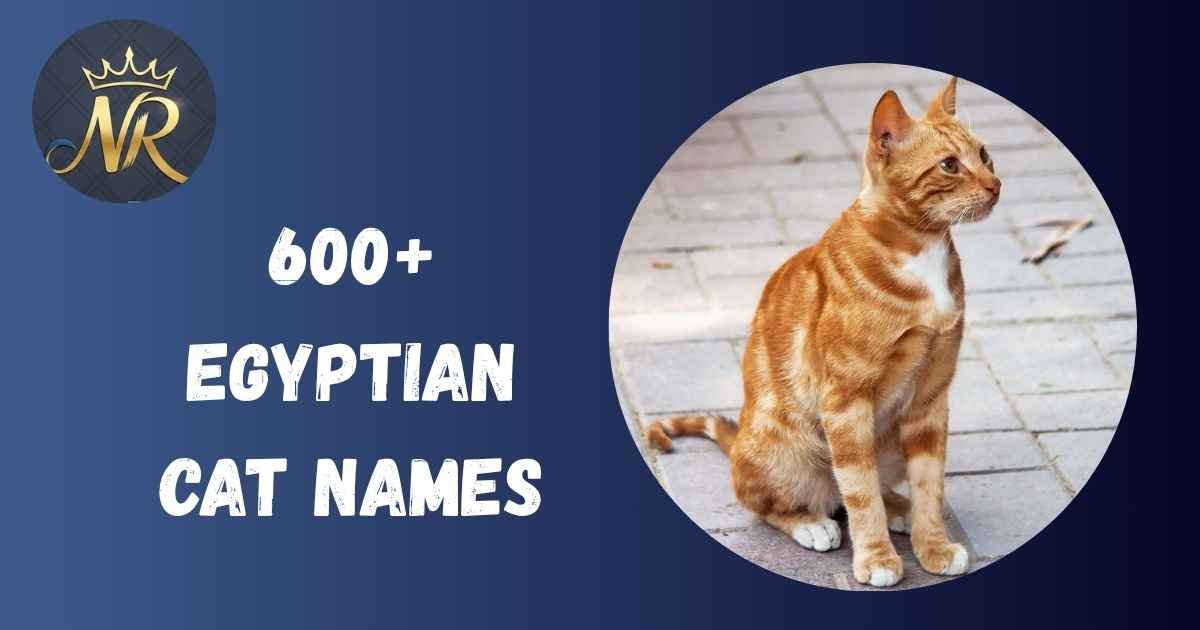 Egyptian Cat Names