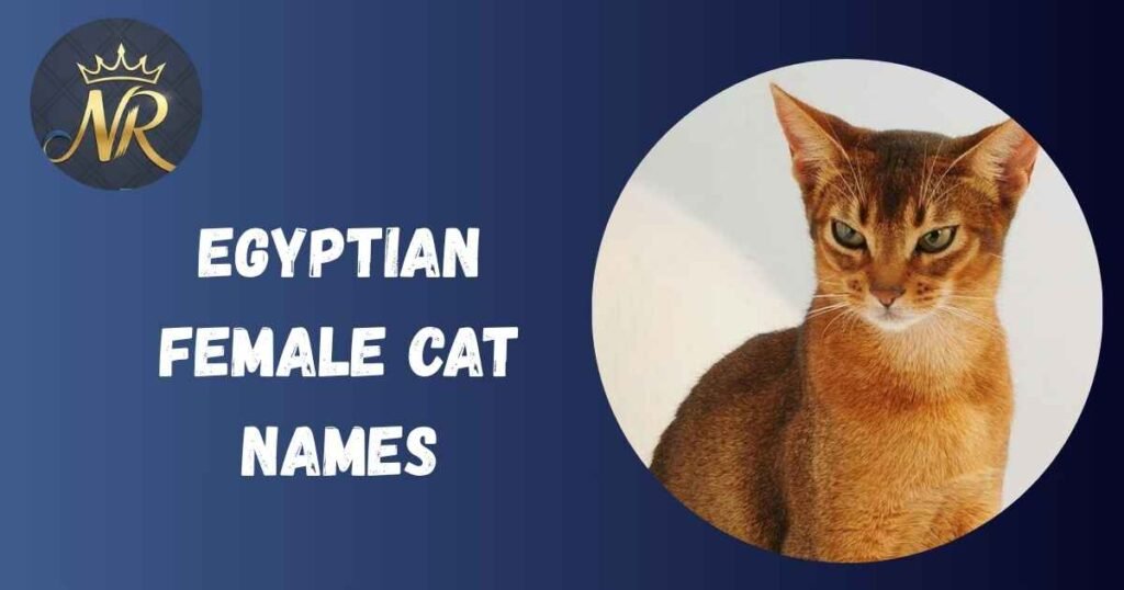 Egyptian Female Cat Names
