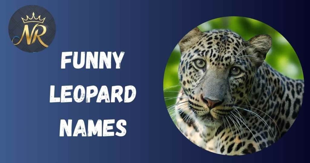 Funny Leopard Names