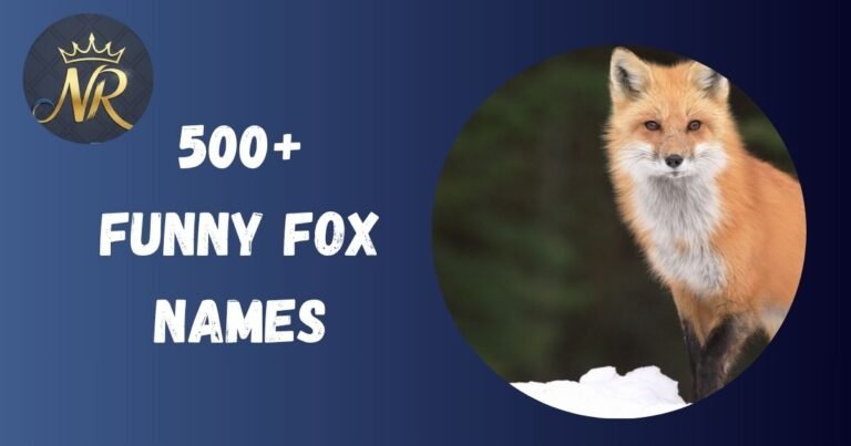 Funny Names for fox