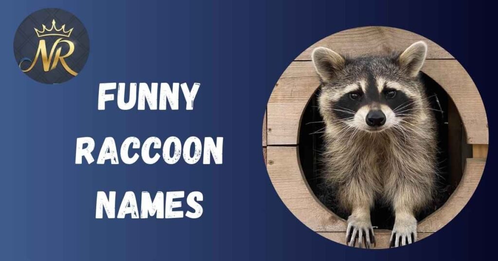 Funny Raccoon Names