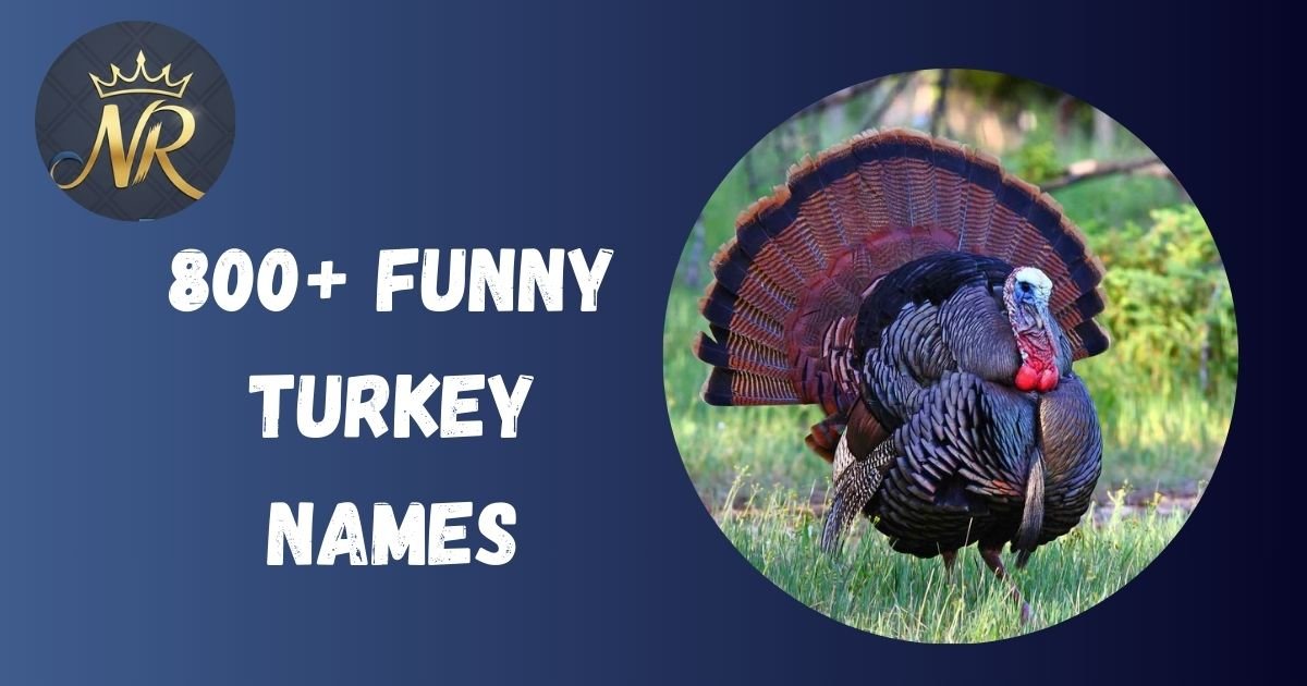 Funny Turkey Names
