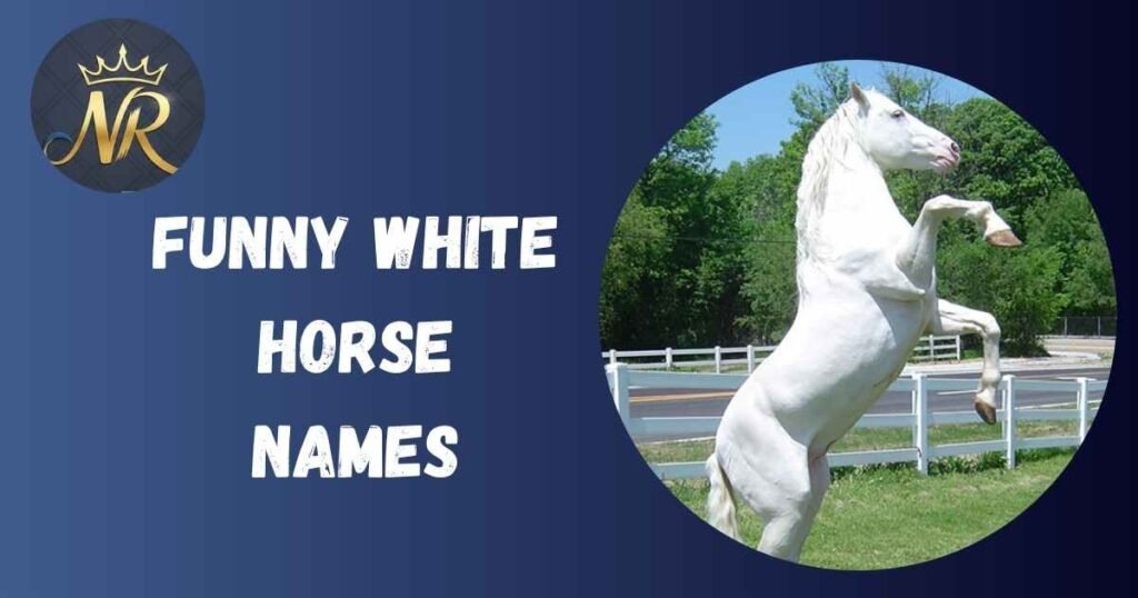 Funny White Horse Names