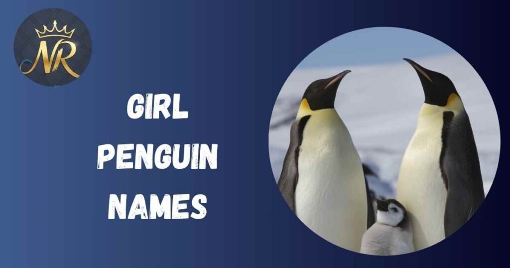 Girl Penguin Names