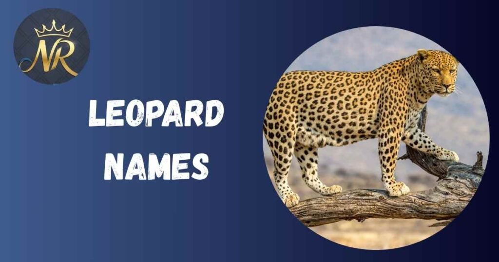 Leopard Names