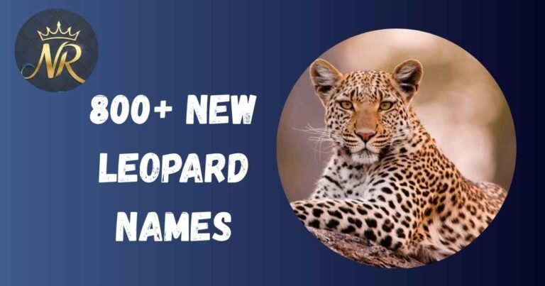 Leopard Names