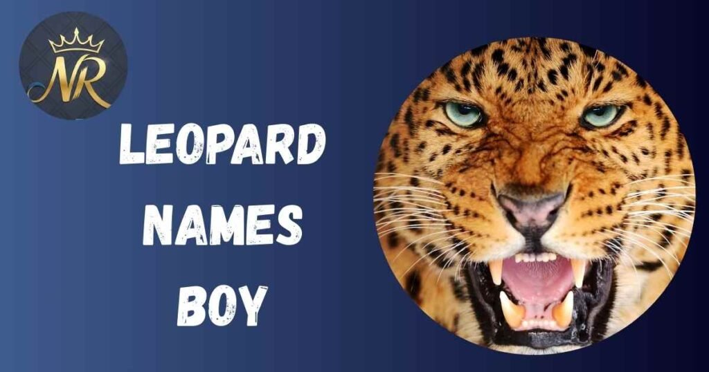 Leopard Names Boy
