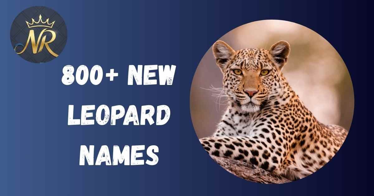 Leopard Names