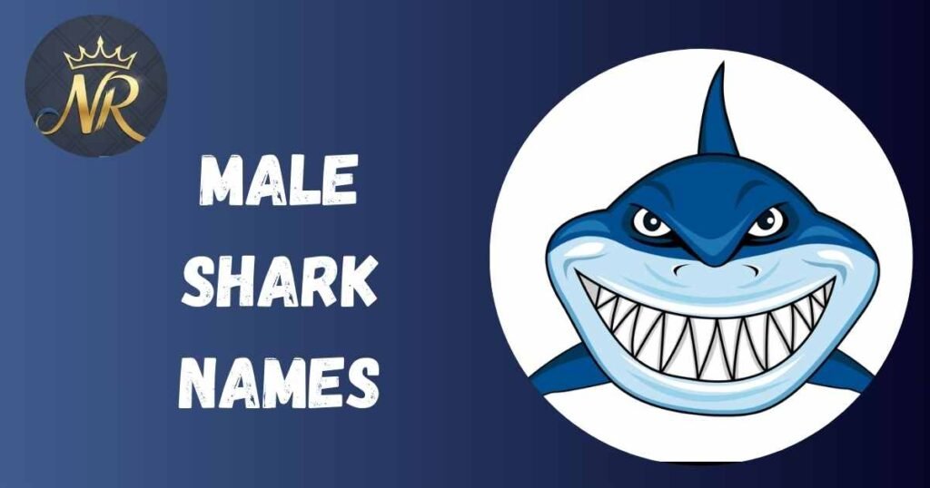 Male Shark Names
