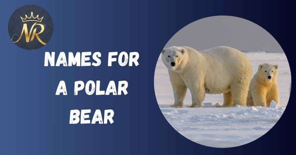 Names For A Polar Bear
