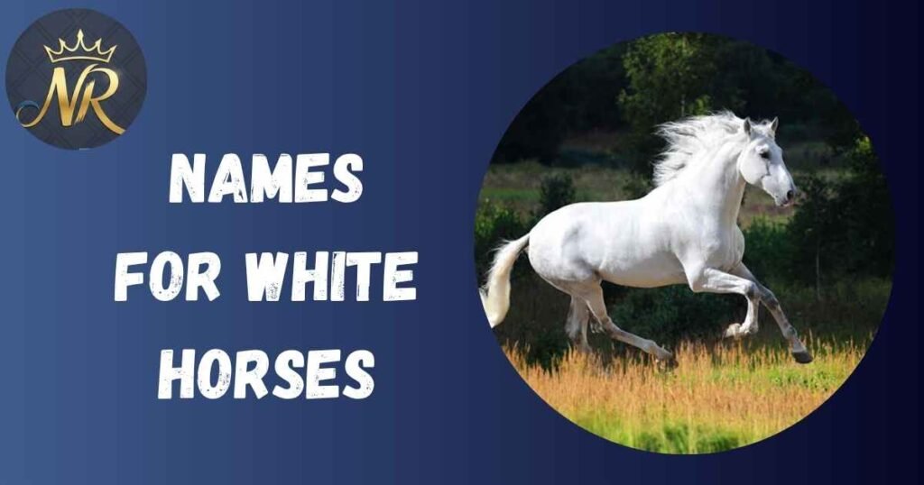 Names For White Horses
