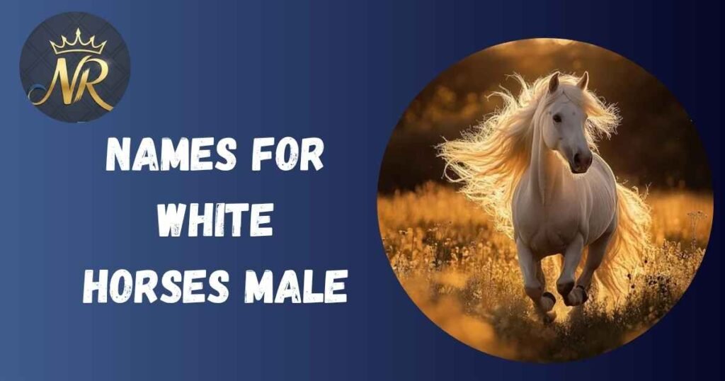 Names For White Horses Male